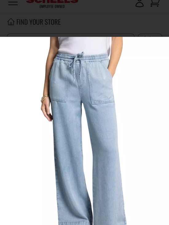Thread & Supply Pants - Thread & Supply Chambray blue Denim Pants
